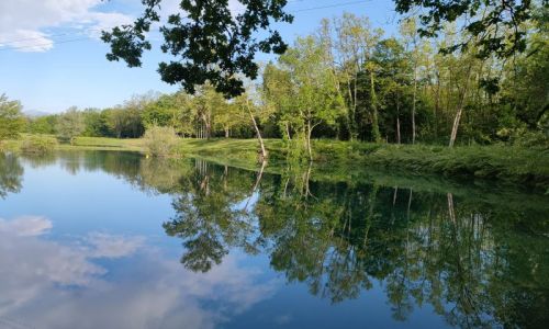 Une plage au coeur du Grand Ried