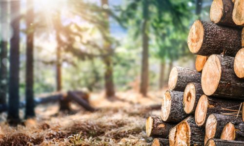 Vente de bois
