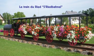 Train du Ried - Riedbahnel